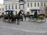 2008_Begonia Rally (052)