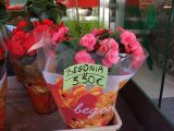 2009 Begonia Rally (139)