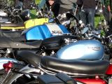 2010_Begonia Rally (127)