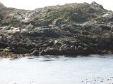 2013_08_MGP__048