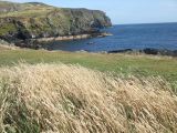 2013_08_MGP__050